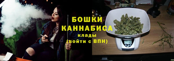 крисы Тавда